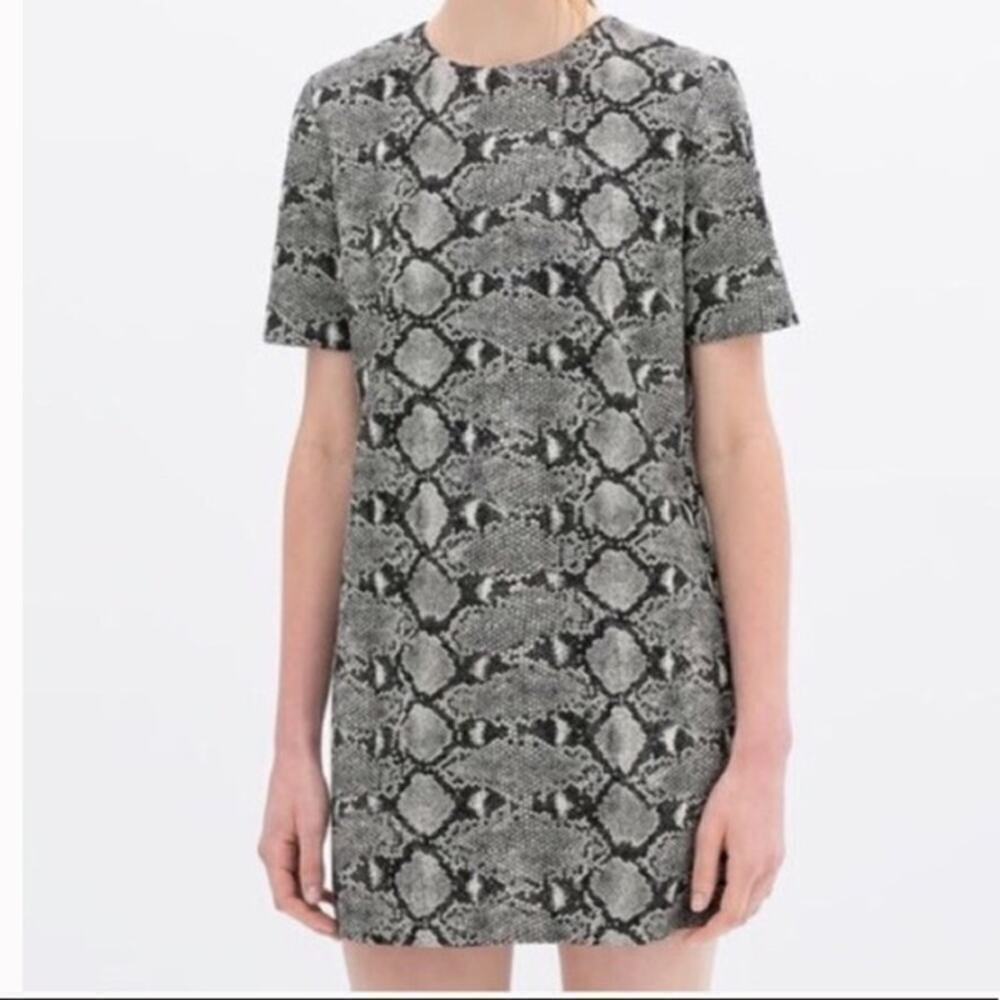 Zara Snakeskin Sheath Dress Small Short Sleeve Mini Gray Black White Snake Print
